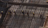 Main Place : Construction Progress at Main Place, Houston Texas