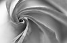 Winparkman > Sepias, grays and b&w >  Rose-2056-2